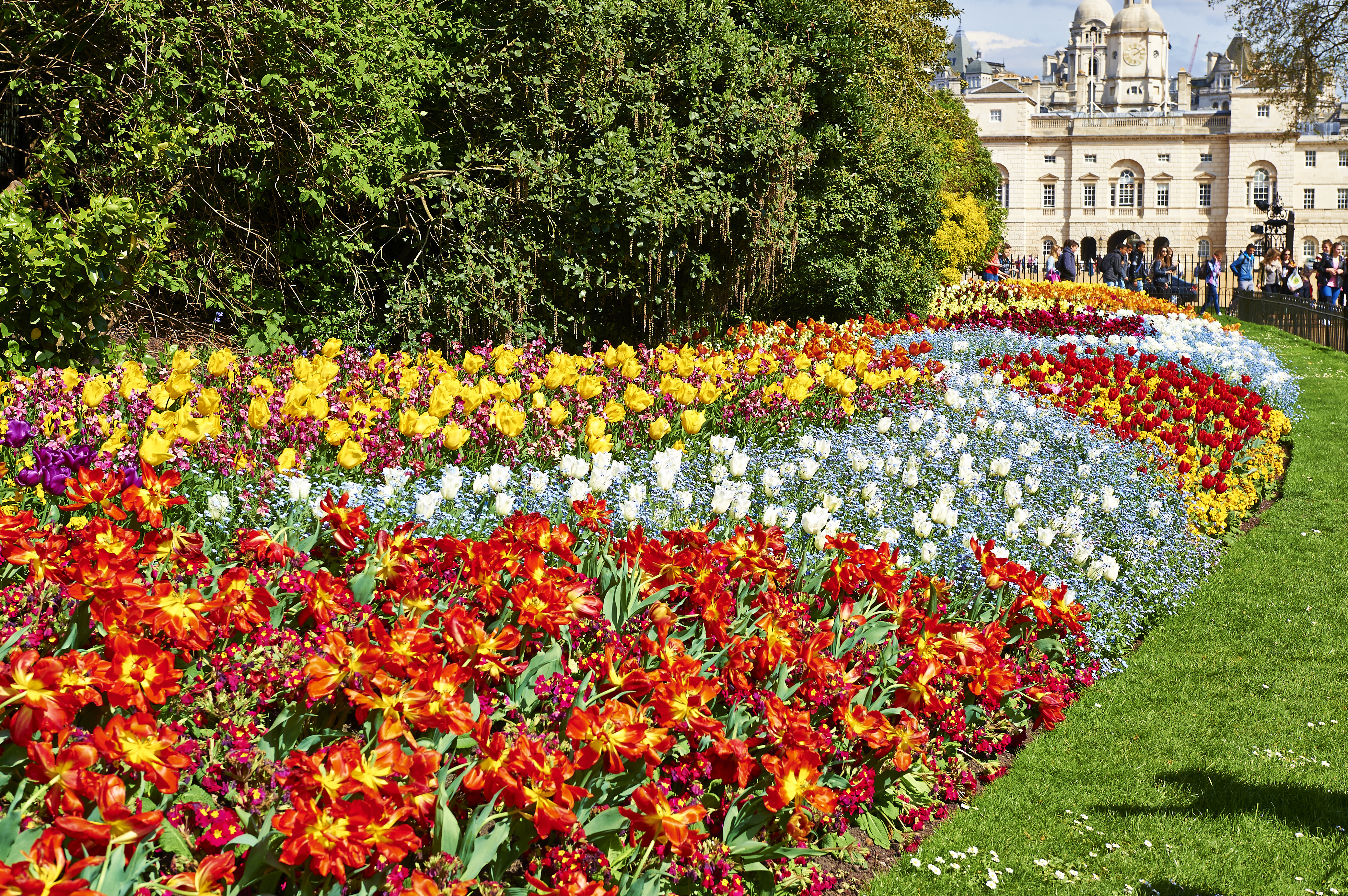 Spring bedding in St. James's Park